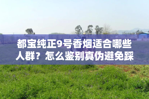 都宝纯正9号香烟适合哪些人群？怎么鉴别真伪避免踩坑？