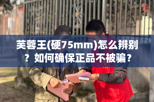 芙蓉王(硬75mm)怎么辨别？如何确保正品不被骗？